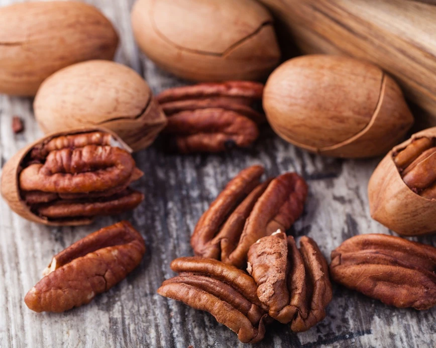 Veredelte Pekan-Nuss `Choctaw´ Carya Illinoinensis 1 Veredelte Pekan-Nuss `Choctaw´ Carya Illinoinensis