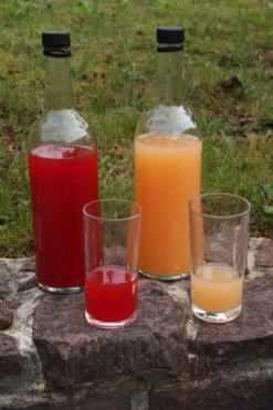 Rosette® Malus Domestica 8 Rosette® Malus Domestica -Obstbaumladen Rosette Saft