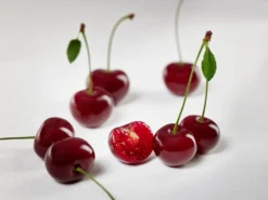 Achat Ⓢ Prunus Cerasus `Achat´ -Obstbaumladen sauerkirsche achat ggmc5Q8G1QL1D9